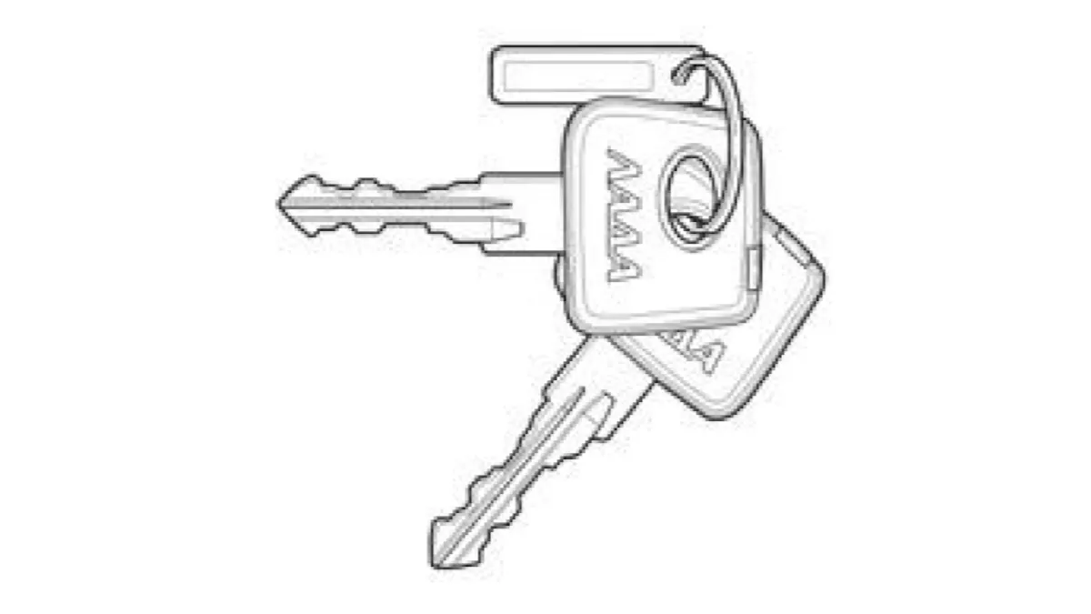 Ключи для автомобиля (в вариантом исполнении)