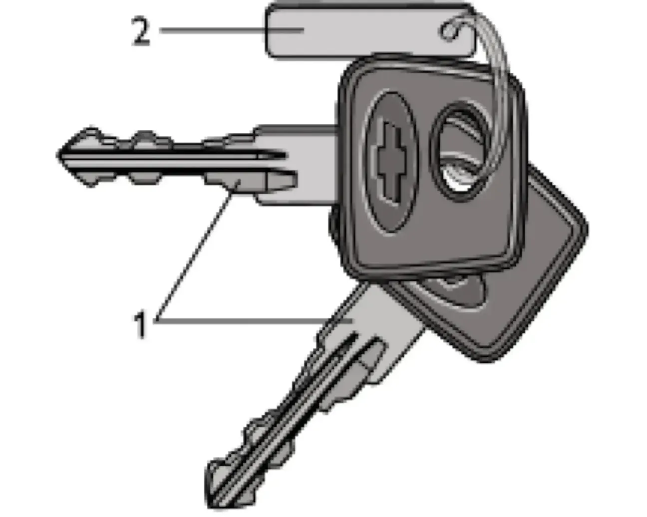 Комплект ключей для автомобиля Chevrolet Niva: основной ключ с чипом иммобилайзера и дополнительный ключ для замков дверей